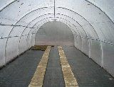 Tunnelfolie 12m breed