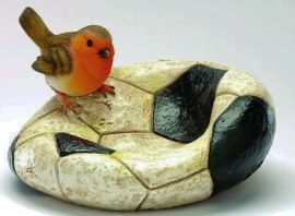 Roodborstje met Voetbal